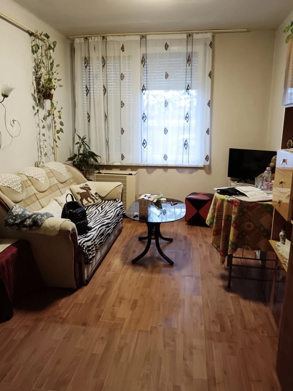 NYÍREGYHÁZA VASVÁRI PÁL UTCÁN FÖLDSZINTI MINIGARZON ELADÓ
