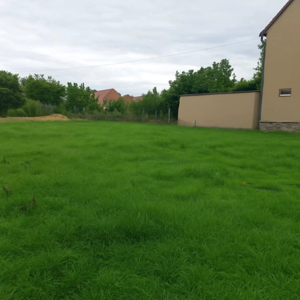 Eladó építési telek, Füzesabony, Falu, Mátyás K. u 40