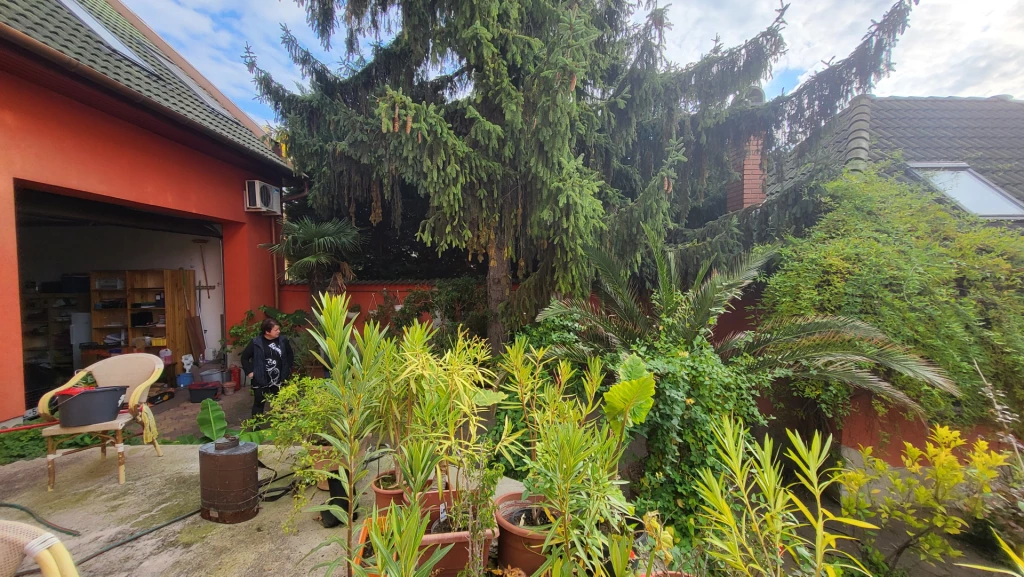 Maklári Hóstyán, felújítás alatt lévő elegáns  kis családi nagy kerttel eladó. 50 M