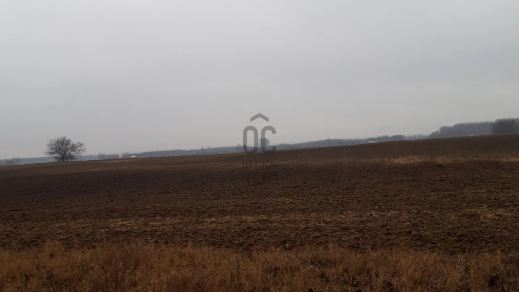 Eladó egyéb mezőgazdasági ingatlan, Üllő, Üllő