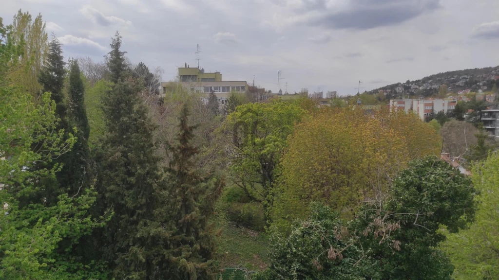 c3-1-name c2-19-name, Budapest II. kerület, Zöldmál, Zöldlomb utca