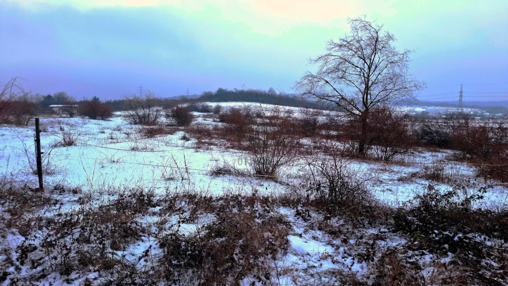 Eladó egyéb mezőgazdasági ingatlan, Üröm, Üröm