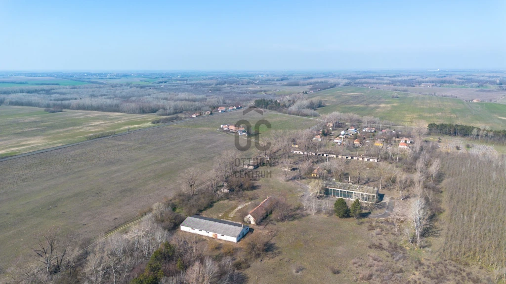 c3-1-name c2-66-name, Bácsszőlős, Bácsszőlős