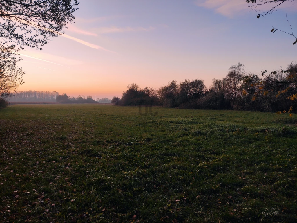 Eladó egyéb mezőgazdasági ingatlan, Debrecen, Biczó István-kert