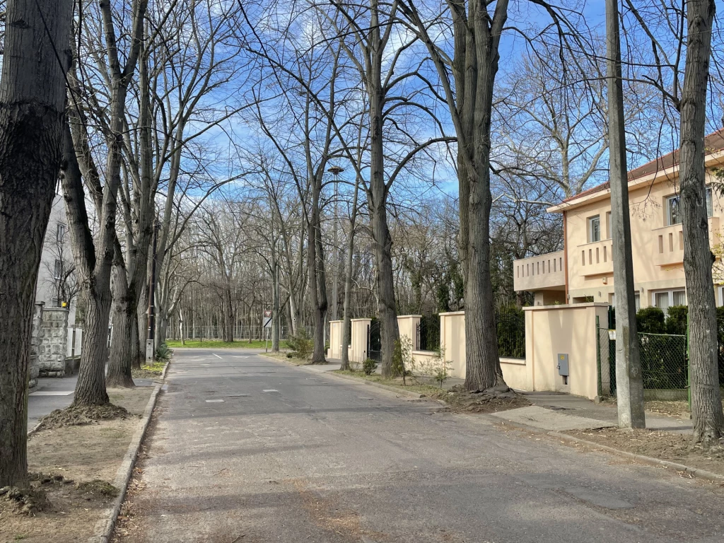 Eladó egyedi garázs, Debrecen, Nagyerdő