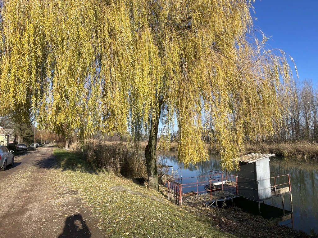 Eladó üdülő, nyaraló, Hajdúszoboszló, Kabai útfél