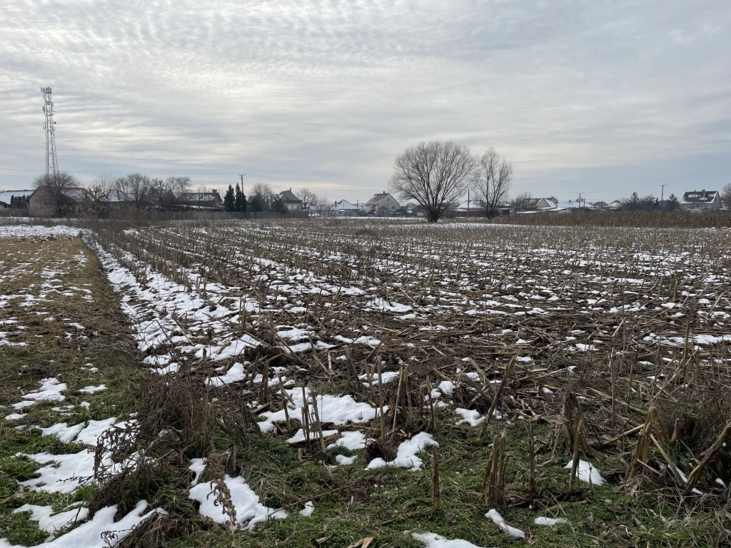 For sale building plot, Hajdúsámson, Hajdúsámson