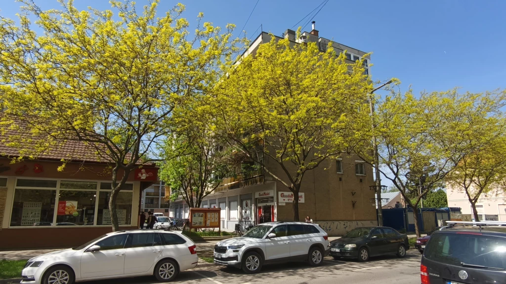 For sale brick flat, Hajdúböszörmény, Belváros
