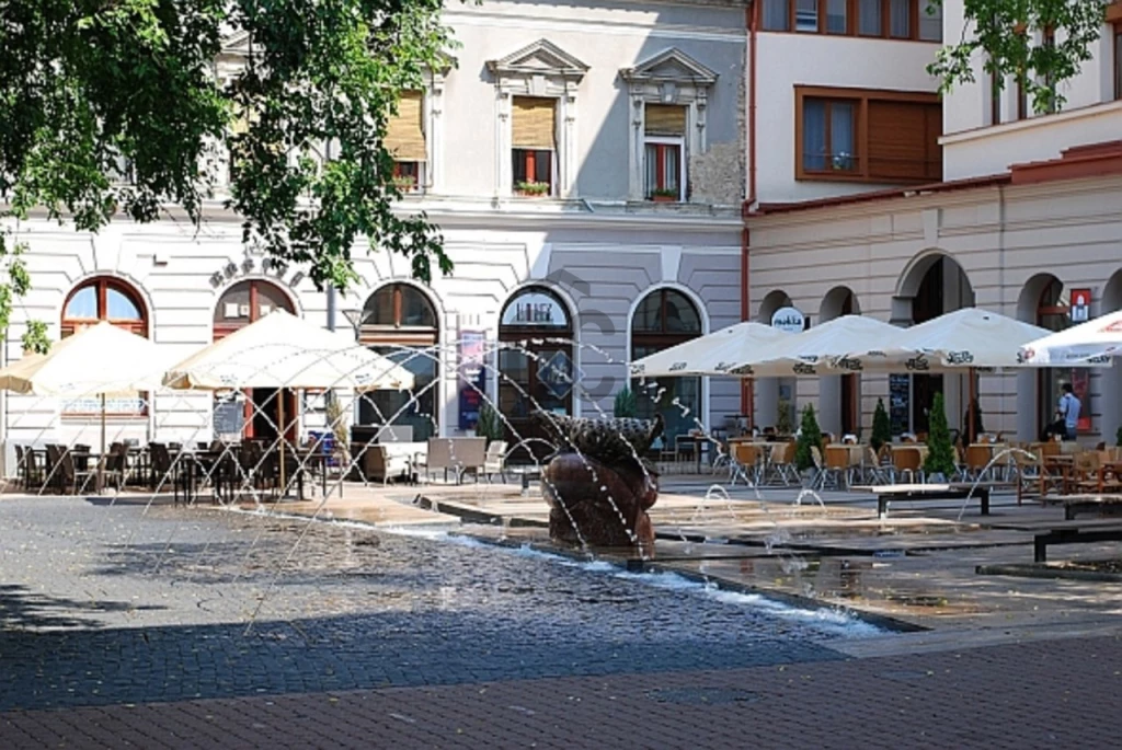 Kiadó üzlet, Debrecen, Belváros