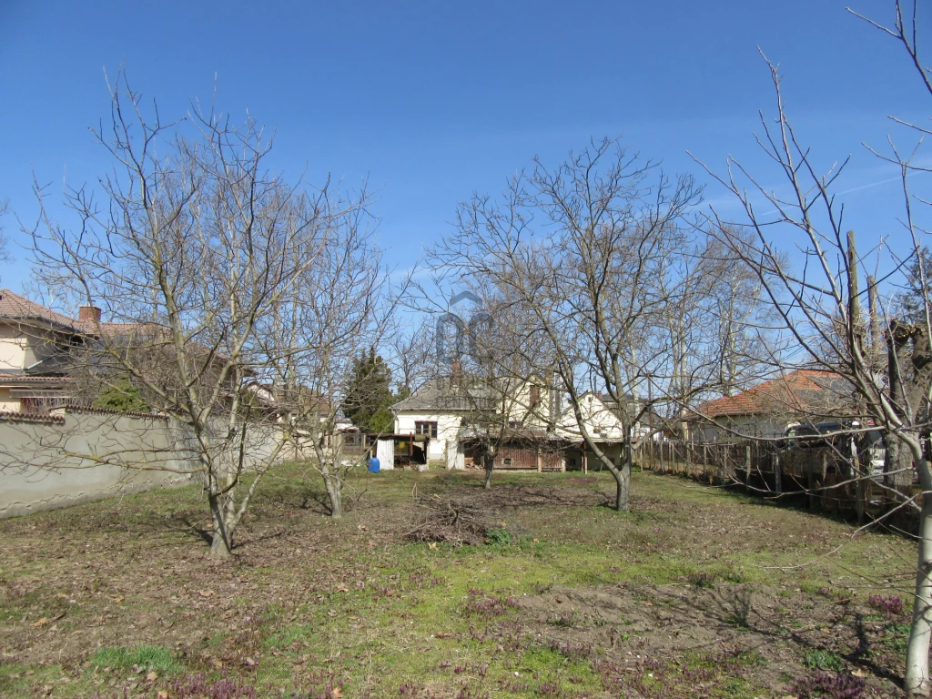 c3-1-name c2-50-name, Debrecen, Falóger