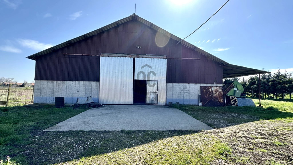 Eladó egyéb mezőgazdasági ingatlan, Berekböszörmény, Berekböszörmény