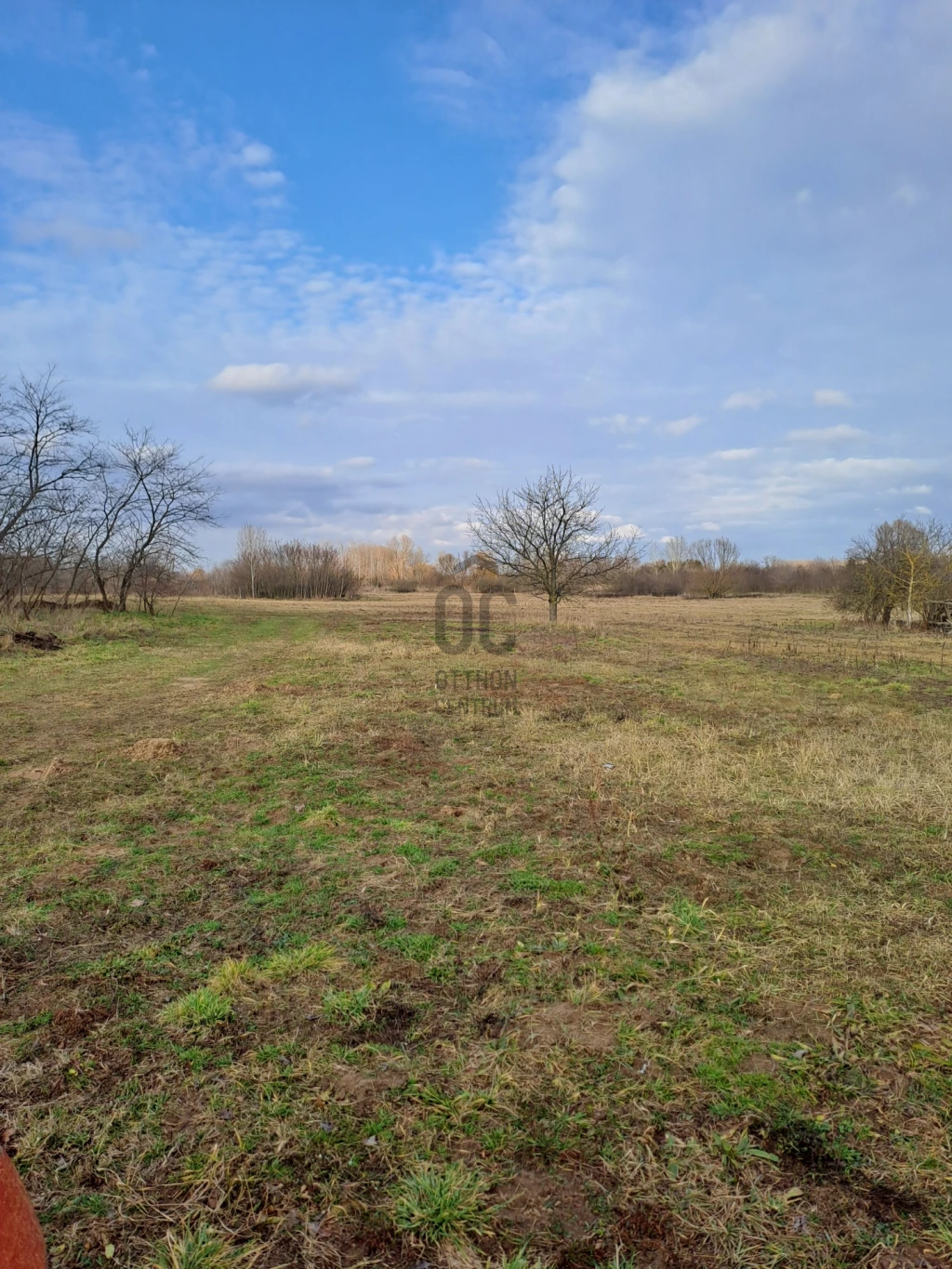 c3-1-name c2-84-name, Debrecen, Bellegelő kert