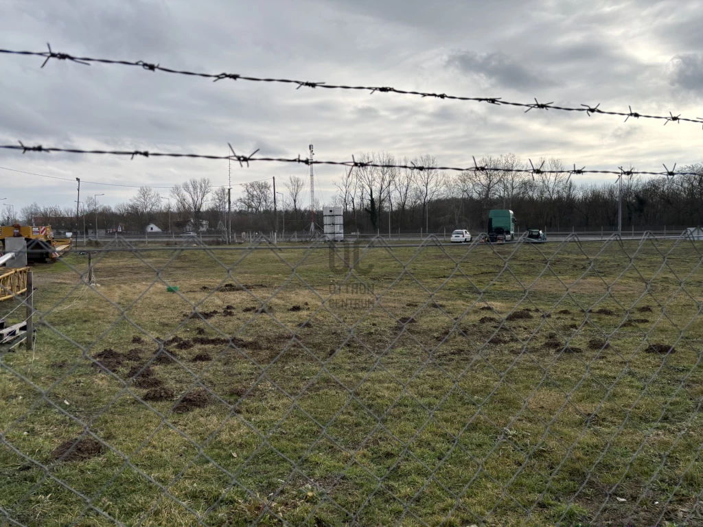 Kiadó külterületi telek, Debrecen, Gáspár György-kert