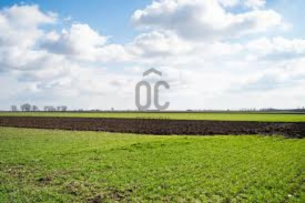 Eladó egyéb mezőgazdasági ingatlan, Katymár, Fekete-tó