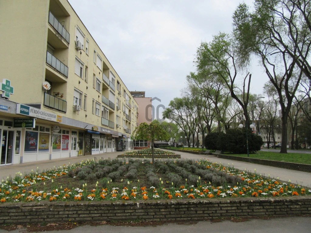 c3-1-name c2-19-name, Hajdúszoboszló, Fürdőnegyed