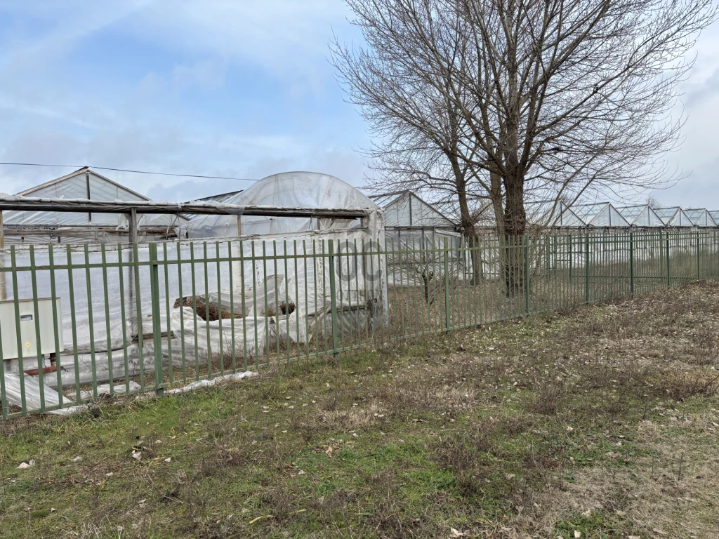 c3-1-name c2-84-name, Debrecen, Gáspár György-kert