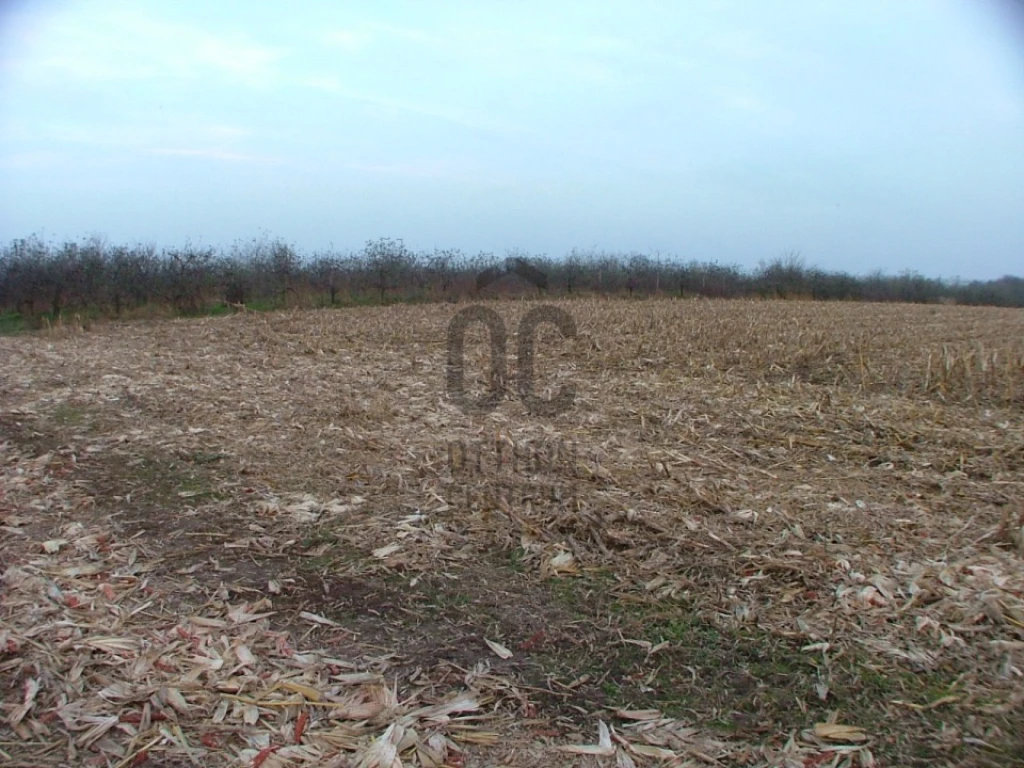 c3-1-name c2-60-name, Debrecen, Pallag