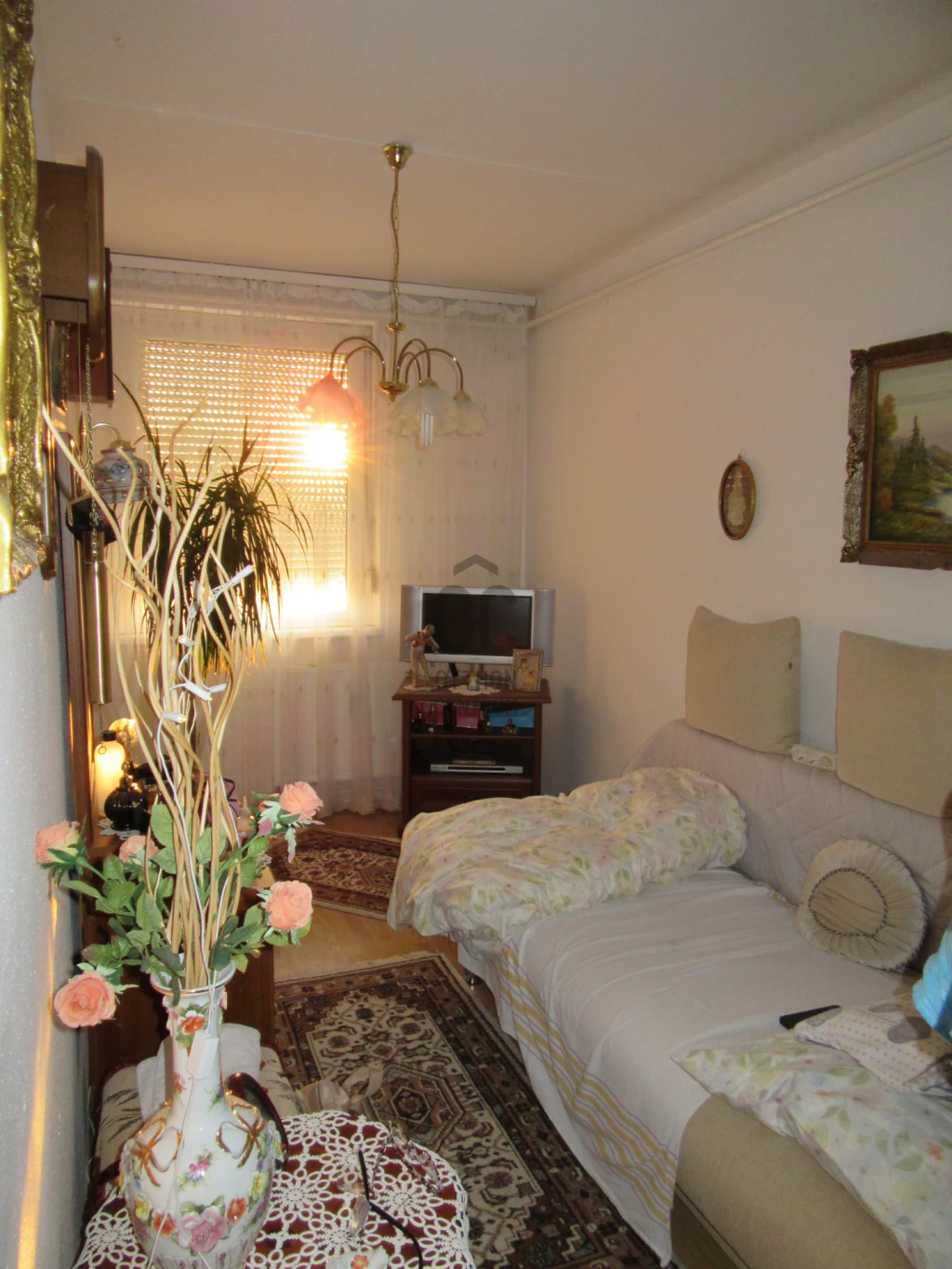 c3-1-name c2-20-name, Debrecen, Tócóskert