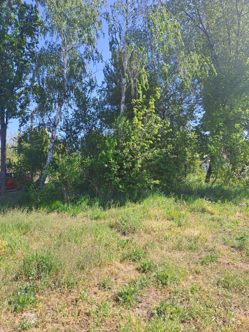 Eladó építési telek, Debrecen, Pallag