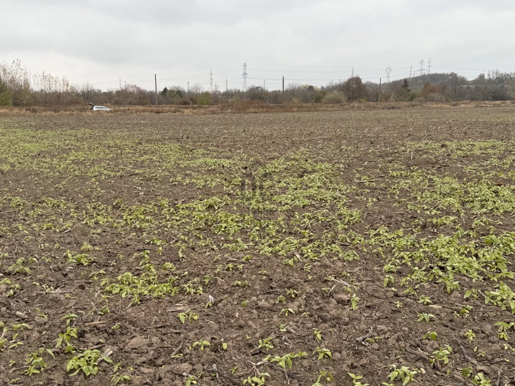 Eladó külterületi telek, Győr, Győrszabadhegy