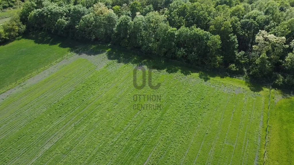 For sale other agricultural, Mosonmagyaróvár, Krisztinamajor