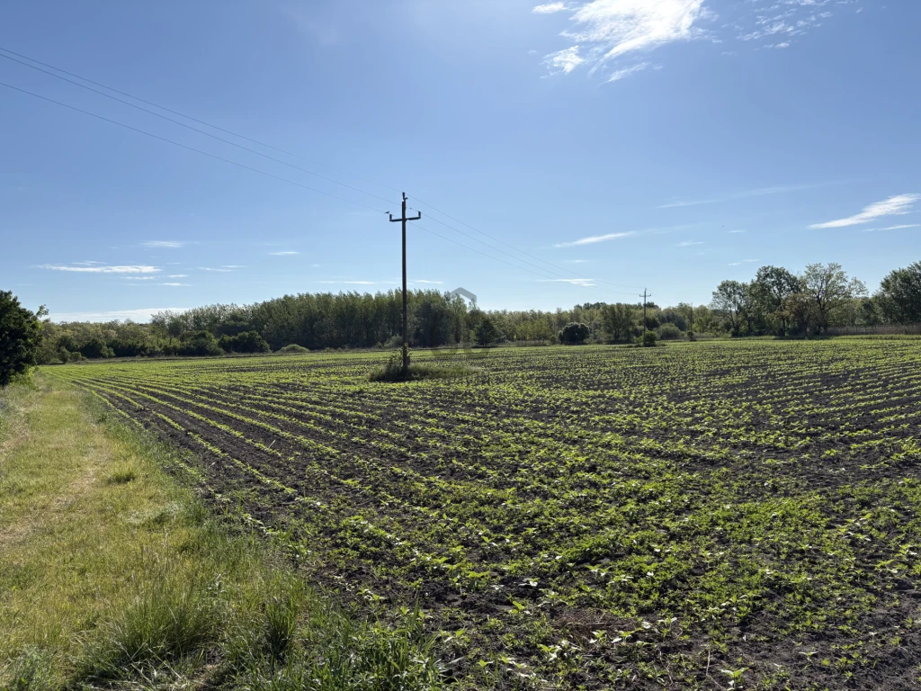 Eladó építési telek, Győrszemere, Nagyszentpál