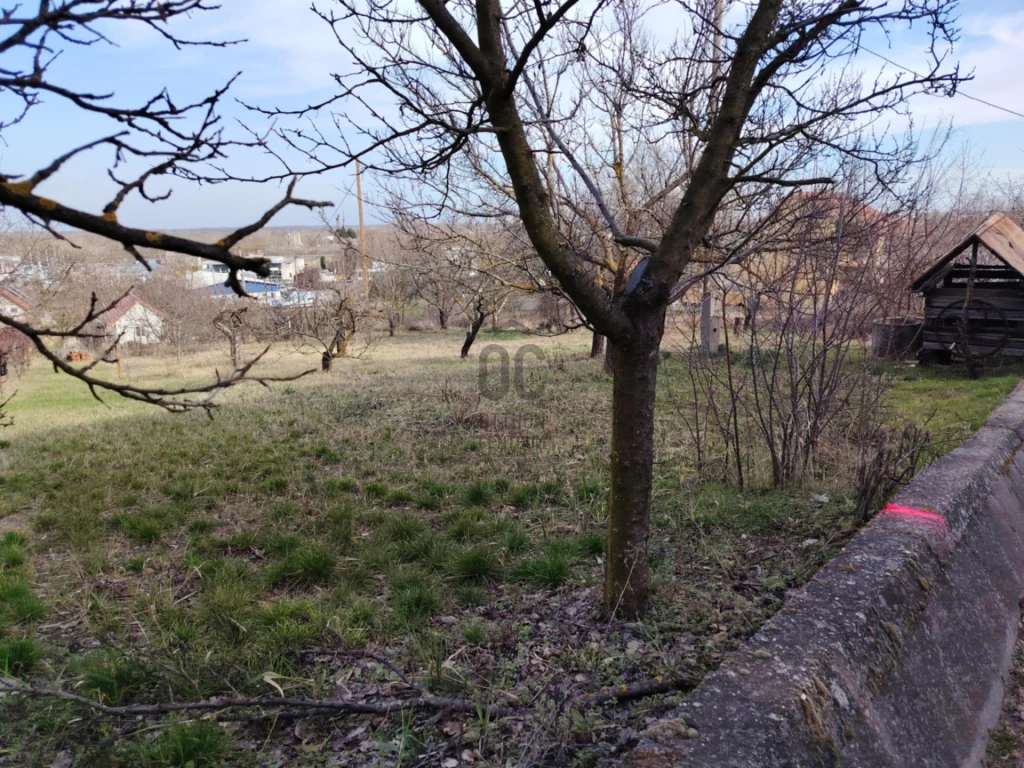 Eladó egyéb mezőgazdasági ingatlan, Szekszárd, Palánkihegy, Hárslevelű dűlő