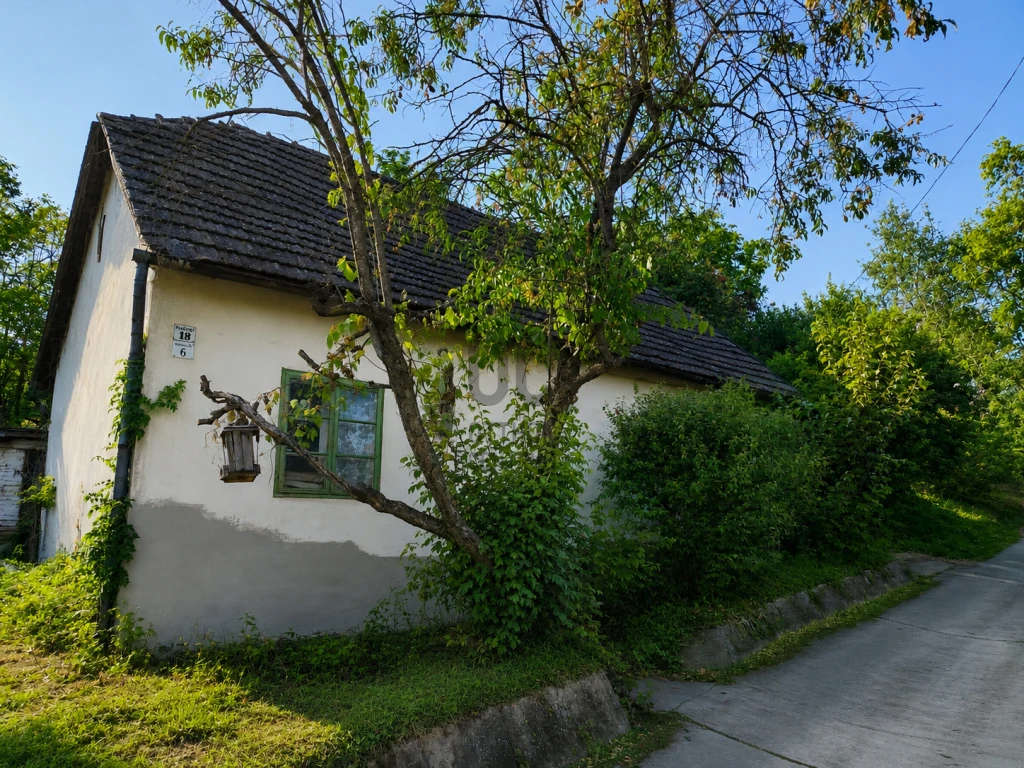 Eladó tanya, Szekszárd, Palánkihegy, Hárslevelű dűlő