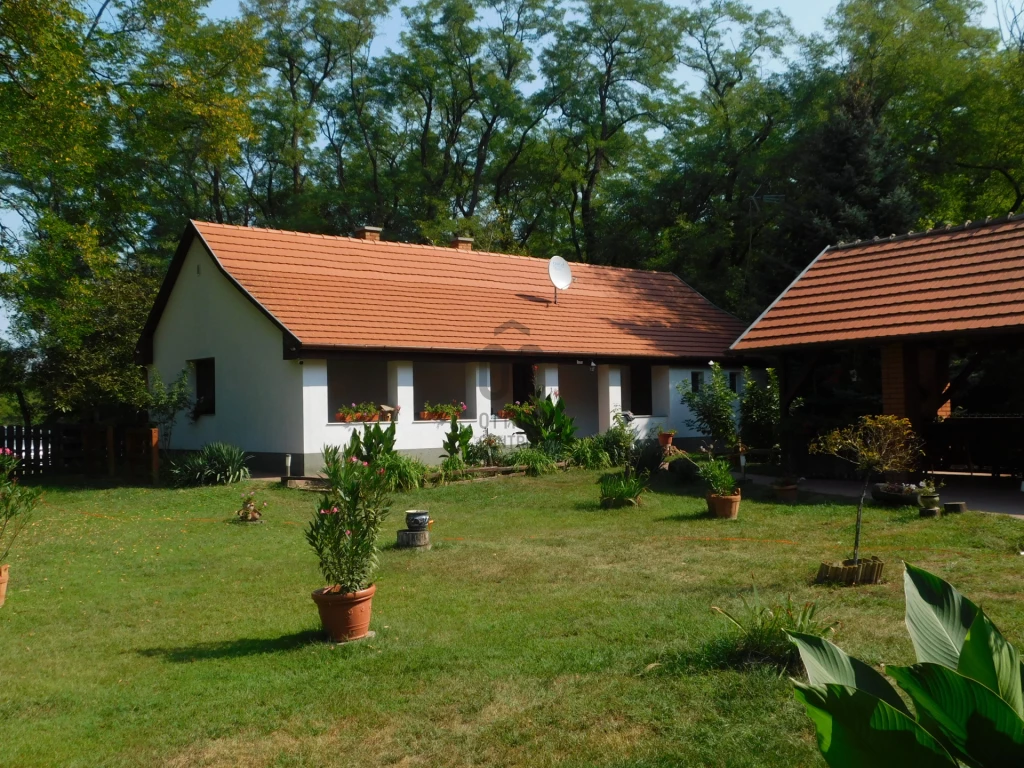 For sale other agricultural, Ladánybene, Ladánybene