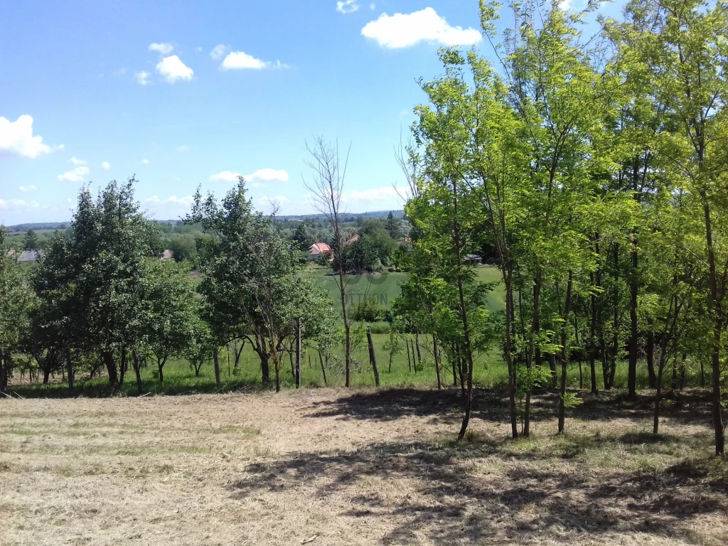 c3-1-name c2-50-name, Zalaszentgrót, Zalaszentgrót