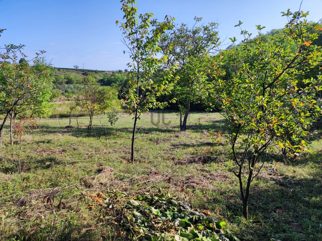 Eladó egyéb mezőgazdasági ingatlan, Balatonkeresztúr, Balatonkeresztúr