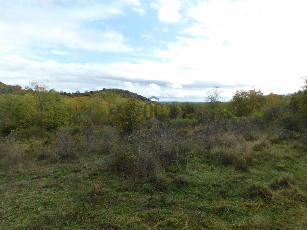 Eladó külterületi telek, Szentbékkálla, Szentbékkálla