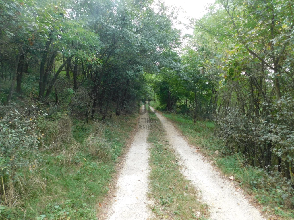 Eladó külterületi telek, Szentbékkálla, Szentbékkálla