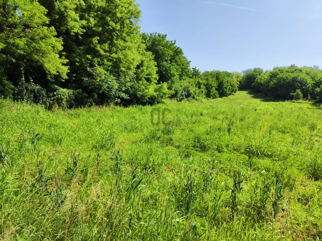 Eladó külterületi telek, Balatonberény, Balatonberény