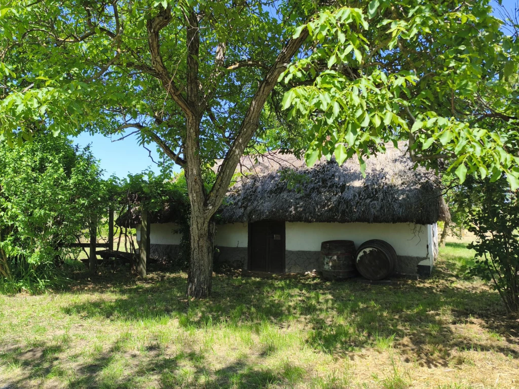 Eladó üdülő, nyaraló, Buzsák, Kálvária