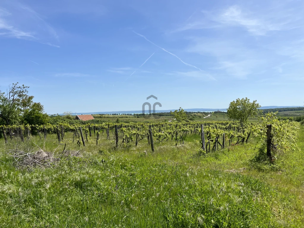 For sale building plot, Zánka, Zánka