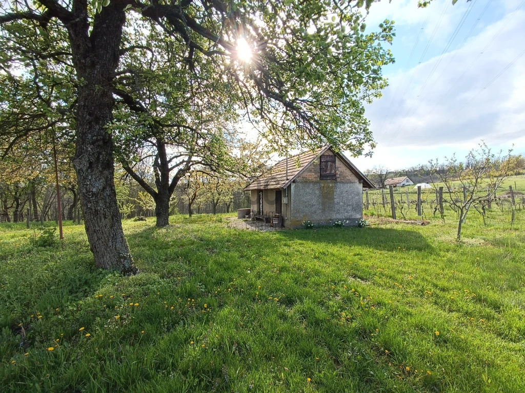 Eladó családi ház, Zalacsány, Zalacsány