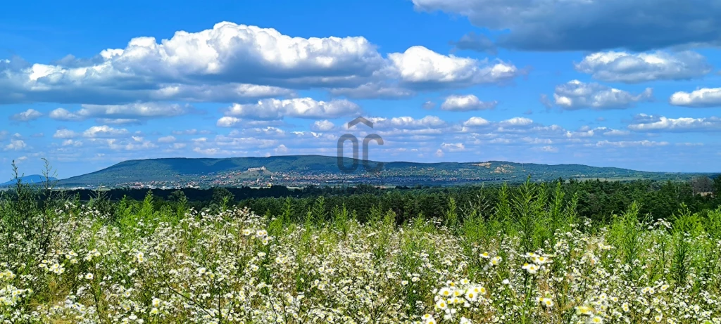 Eladó üdülő, nyaraló, Bazsi, Bazsi