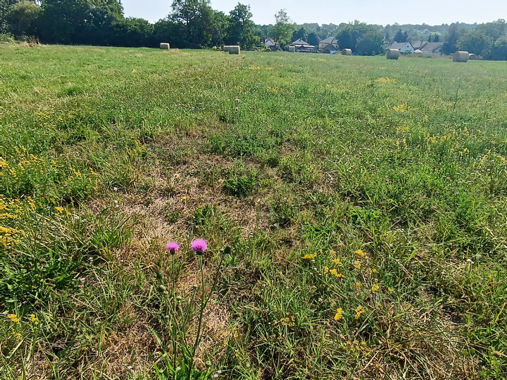 For sale building plot, Kőröshegy, Kőröshegy