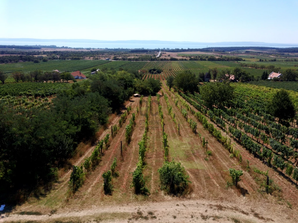 Eladó külterületi telek, Tagyon, Tagyon