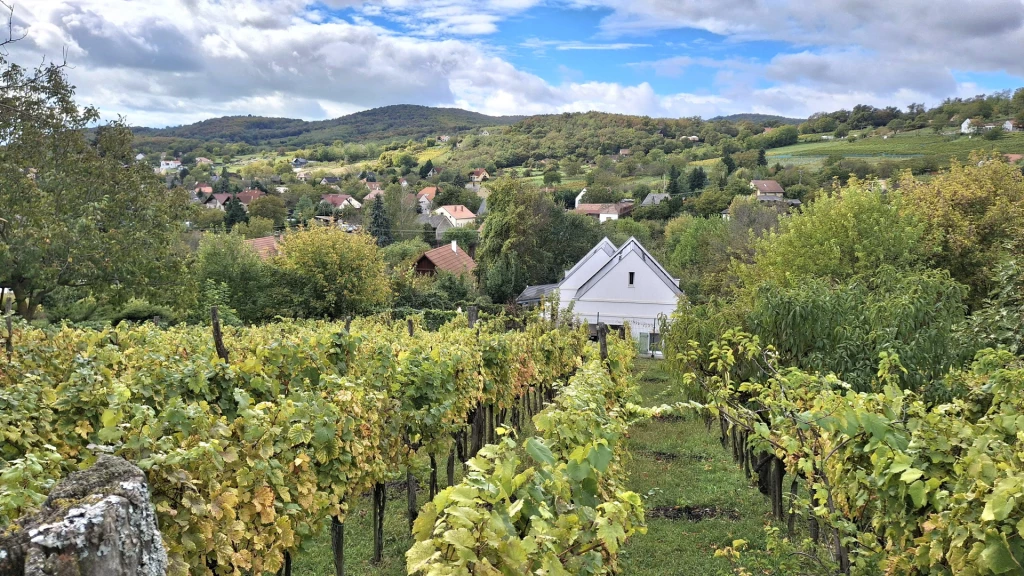 Eladó építési telek, Ábrahámhegy, Ábrahámhegy