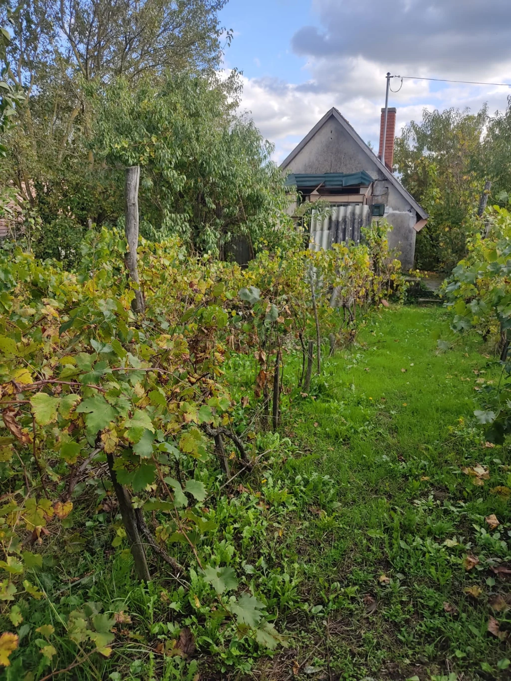 Eladó üdülő, nyaraló, Somlóvásárhely, Somlóvásárhely