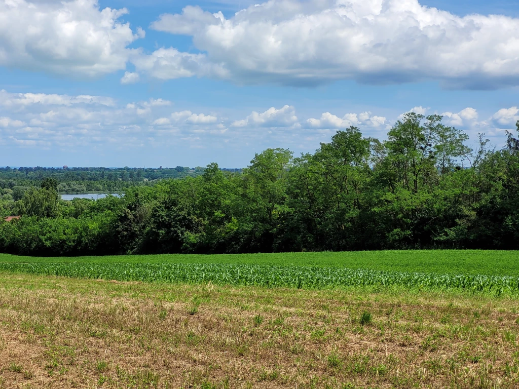 For sale periphery plot, Alsópáhok, Alsópáhok