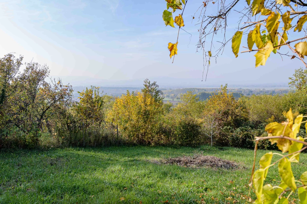 Eladó külterületi telek, Raposka, Raposka