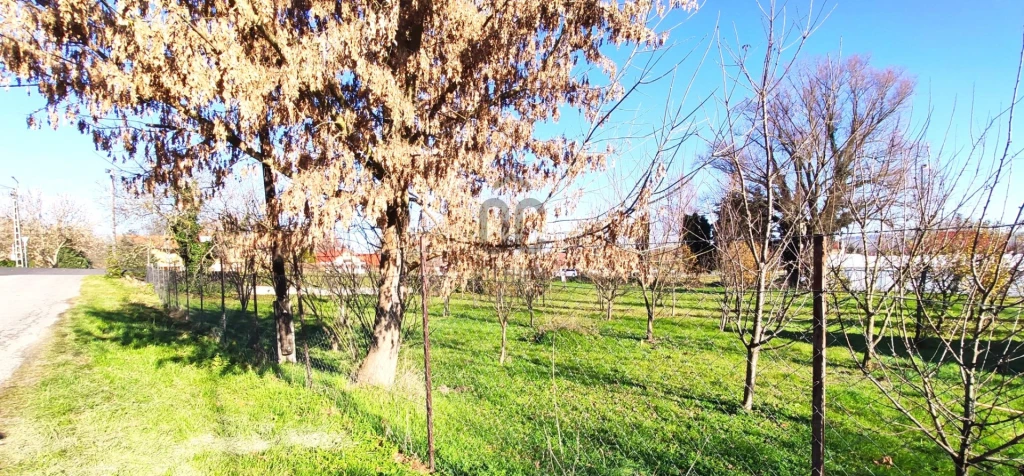 Eladó építési telek, Zalacsány, Zalacsány