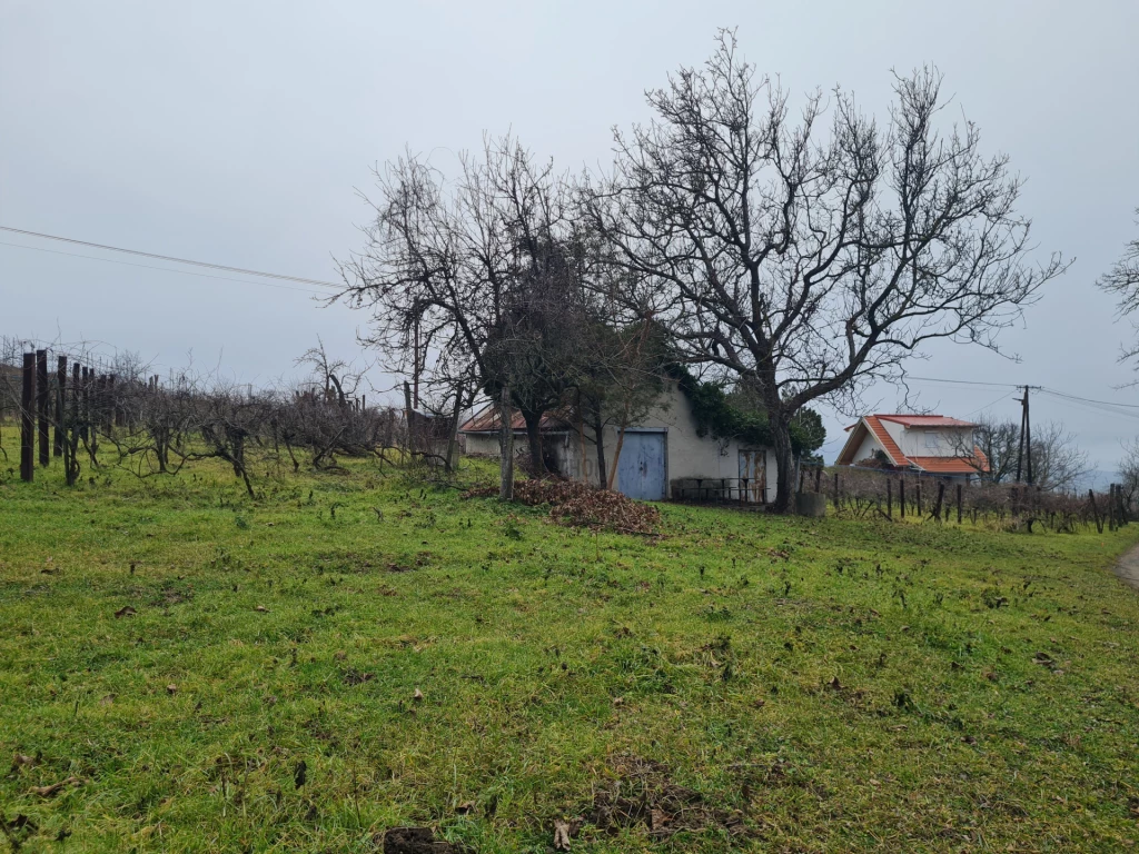 Eladó üdülő, nyaraló, Nemesgulács, Nemesgulács