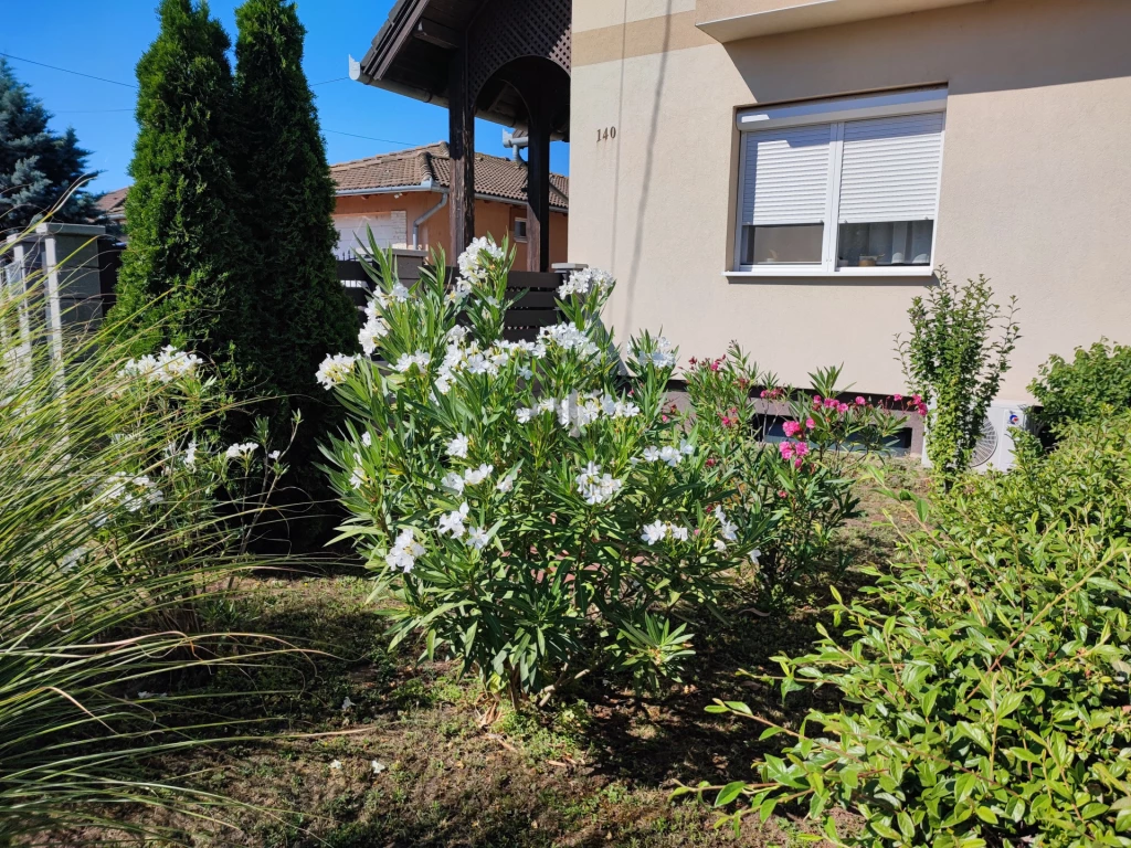 For sale house, Balatonlelle, Balatonlelle