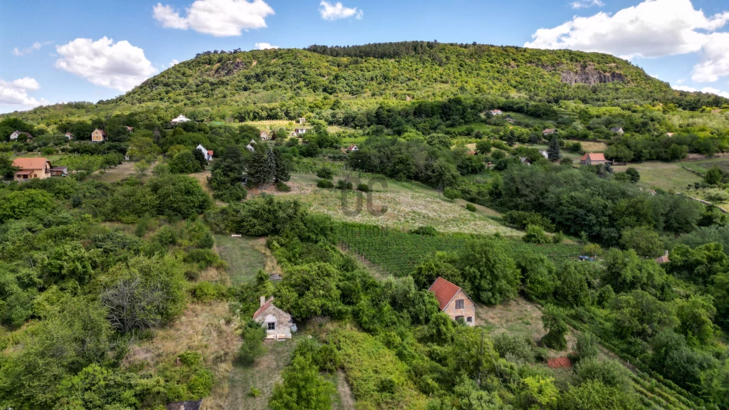 Eladó üdülő, nyaraló, Raposka, Raposka