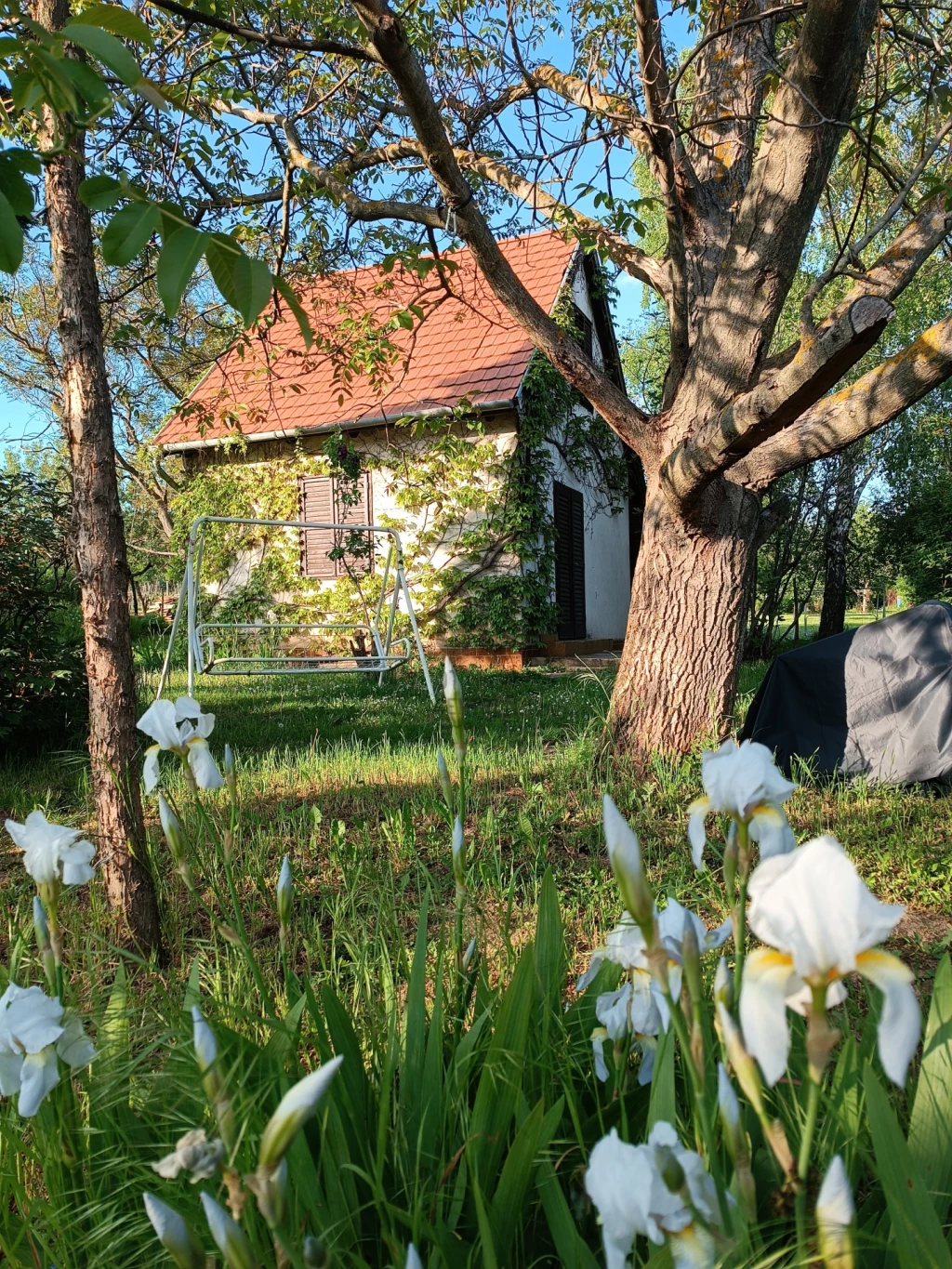 Eladó üdülő, nyaraló, Pécsely, Pécsely