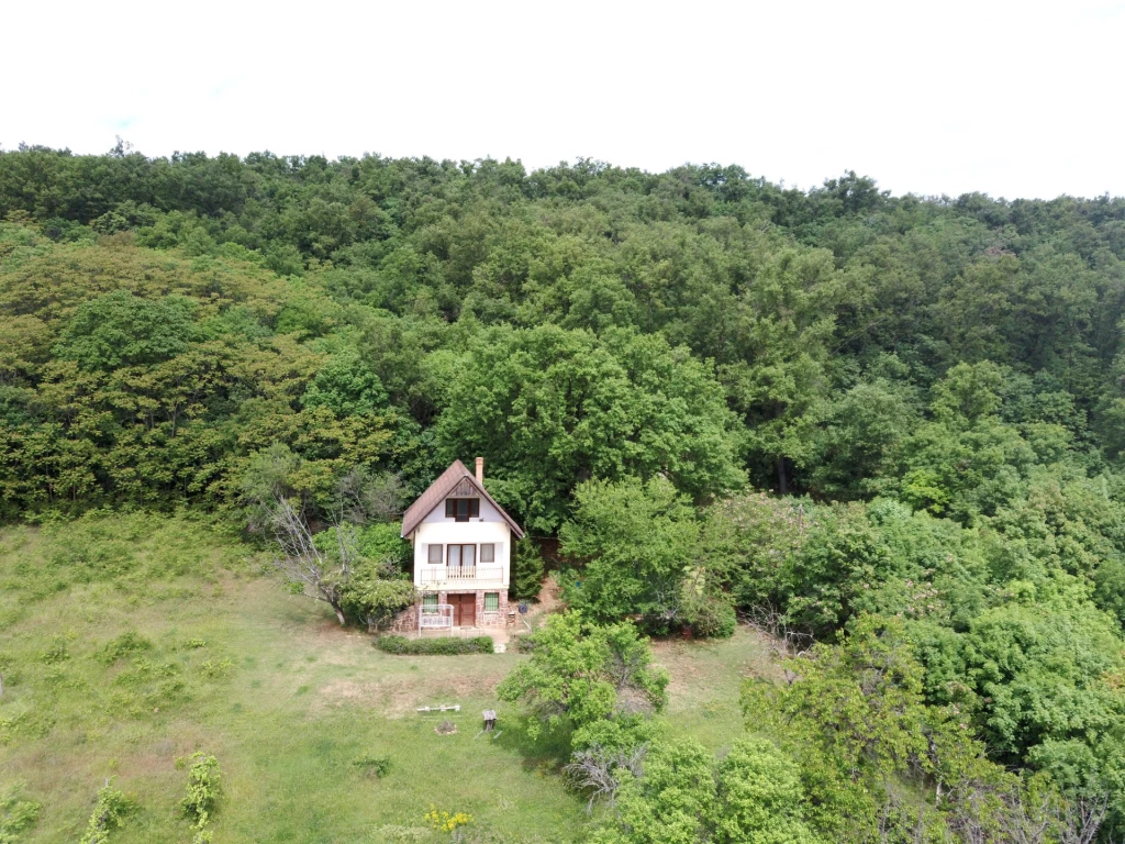 Eladó üdülő, nyaraló, Balatonszepezd, Balatonszepezd